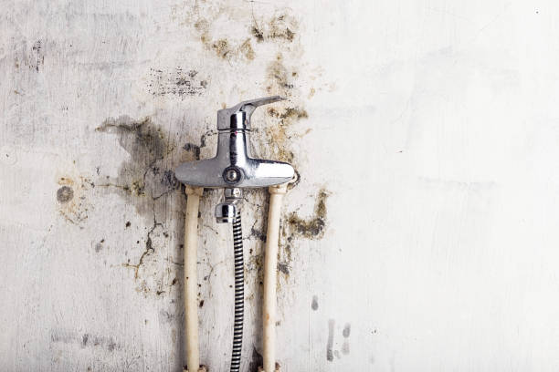 Best Bathroom Mold Remediation in Val Verde, CA