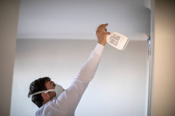 Best Mold Remediation for Schools in Val Verde, CA